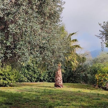 Вила Елена-Villa Elena 1 Skala Potamia  Exteriér fotografie