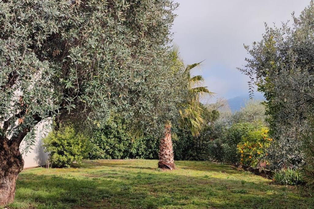 Вила Елена-Villa Elena 1 Skala Potamia  Exteriér fotografie