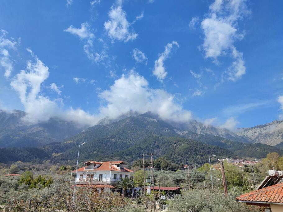 Вила Елена-Villa Elena 1 Skala Potamia  Exteriér fotografie